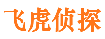 九龙调查事务所